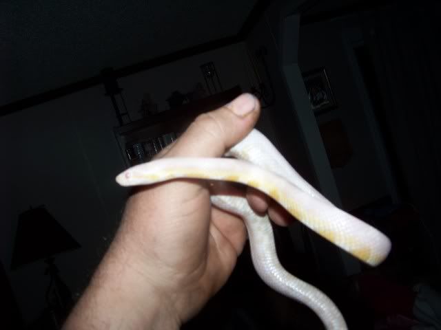 100_3411.jpg
