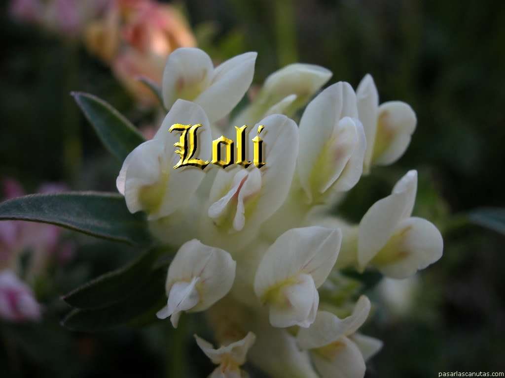 aguas_limpias_3545.jpg picture by juanitalarga