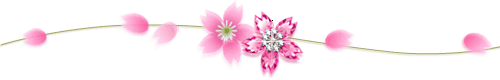 photo Sep_rosa2.gif
