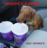 PepsiPuppy.jpg Pepsi Puppy image by fudgieluv