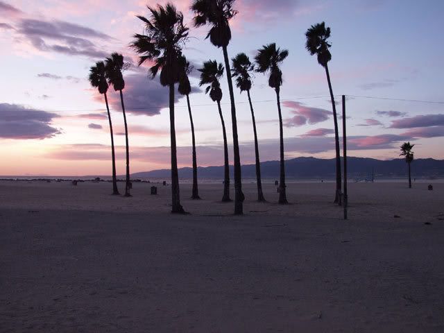 venice-beach.jpg