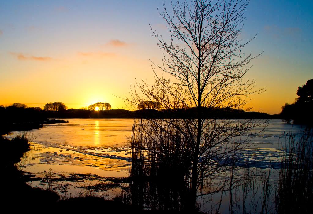 IMAGE: http://i223.photobucket.com/albums/dd208/jaguar48_2007/sunsettalkintarnjan20103.jpg