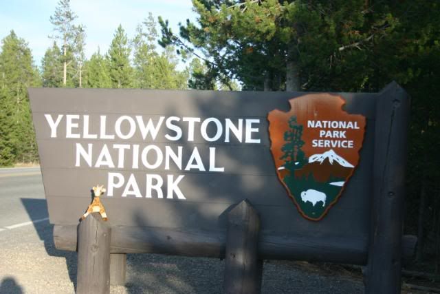 [Image: Yellowstone9309388.jpg]