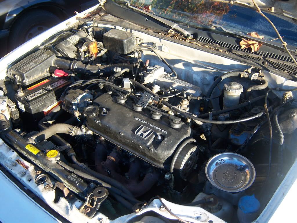 Honda engine swaps d15b6 to d16a1 #3