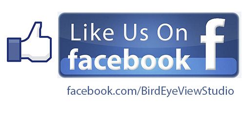 WWW.FB.COM/BIRDEYEVIEWSTUDIO