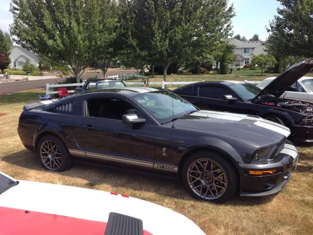 IMG_0678_zpsfb2744ee.jpg