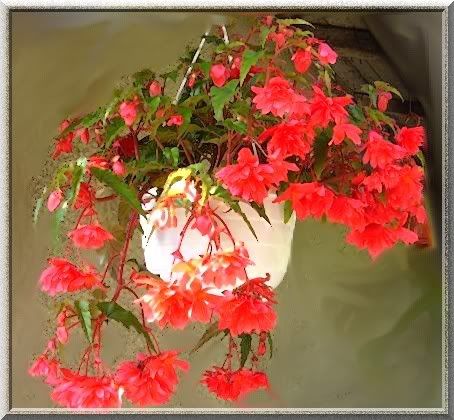 Photobucket Photobucket