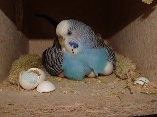 03days-1.jpg
