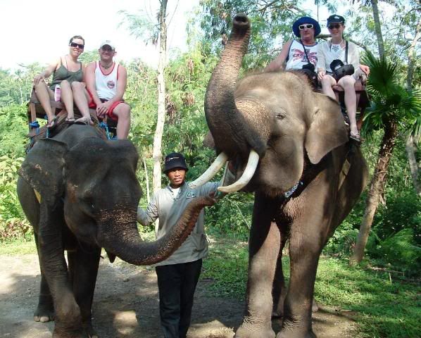4onElephants.jpg