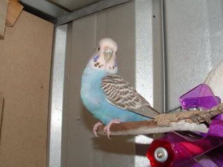 DSCF0037.jpg