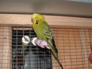 DSCF0038.jpg
