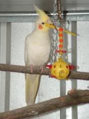 DSCF0085.jpg