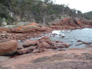 DSCF0093.jpg