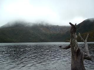 DSCF0147.jpg