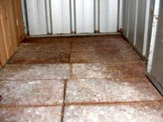 DSCF0161.jpg