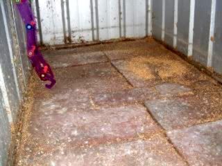 DSCF0163.jpg