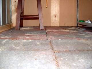 DSCF0164.jpg