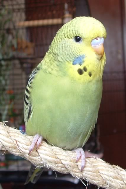 DSCF0169.jpg
