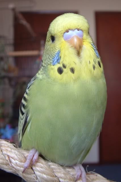 DSCF0170.jpg