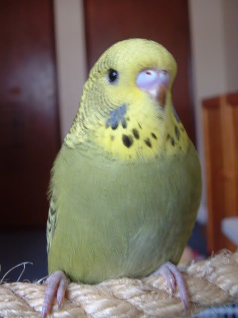 DSCF0173.jpg