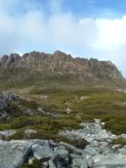 DSCF0254.jpg