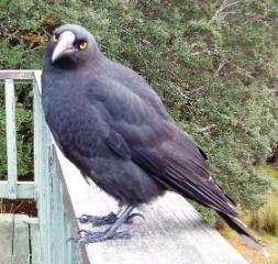 DSCF0280.jpg