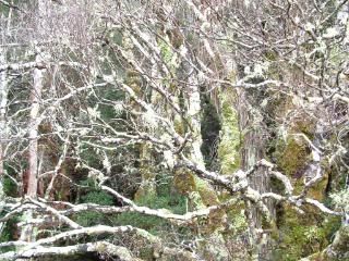 DSCF0292.jpg