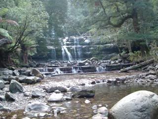 DSCF0340.jpg