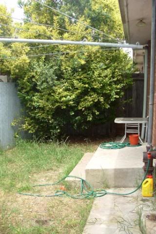 DSCF0364.jpg