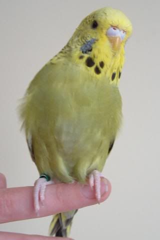 DSCF0380.jpg
