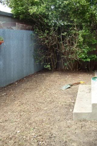 DSCF0393.jpg