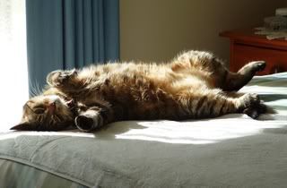 Sammi09.jpg