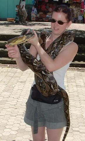 Snake.jpg