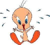 Tweety.jpg