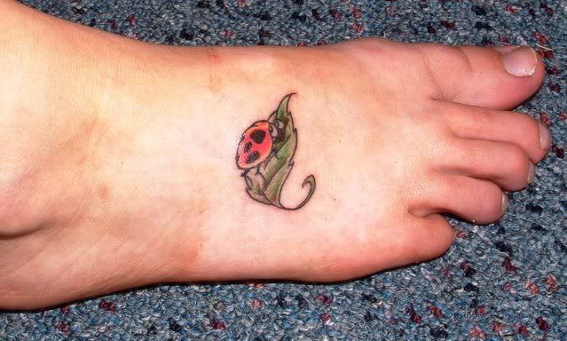 ladybirdfoot.jpg