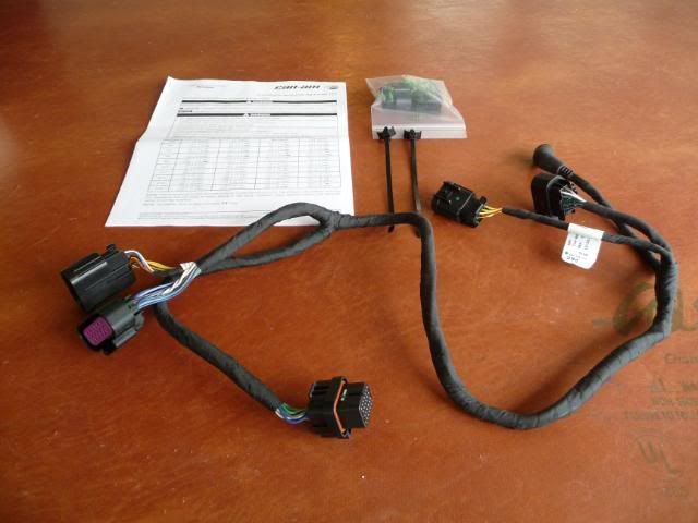 P1010251.jpg