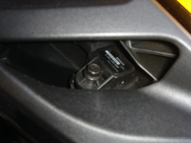 DSC01675.jpg