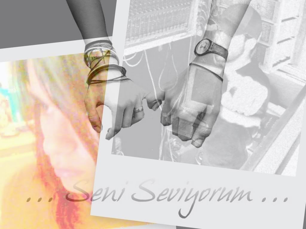 collage3.jpg