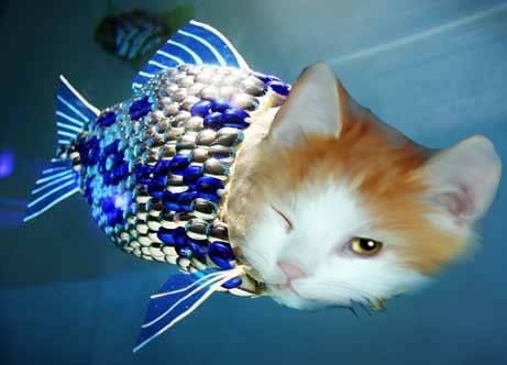 Forum Image: http://i223.photobucket.com/albums/dd260/mistergrimlock/animals/catfish.jpg