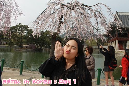 สมหลิน in Korea Day 1 รึ ตม อยากมีปัญหากะอิฮั้น