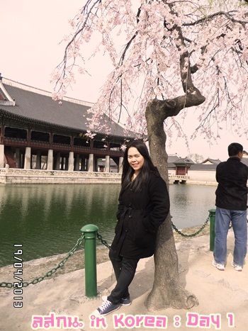สมหลิน in Korea Day 1 รึ ตม อยากมีปัญหากะอิฮั้น