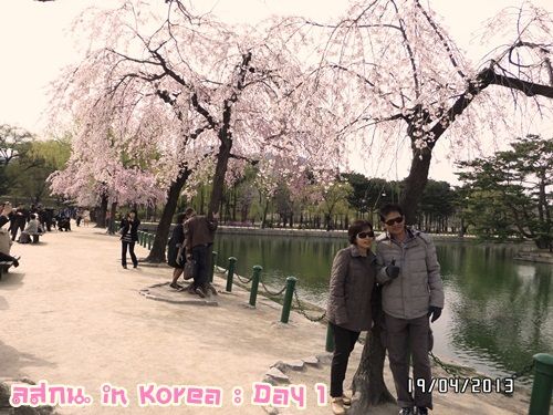 สมหลิน in Korea Day 1 รึ ตม อยากมีปัญหากะอิฮั้น