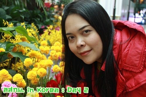 สมหลิน in Korea Day 2 ฝนเกาหลีก็เปียกเหมือนกันเน๊าะ