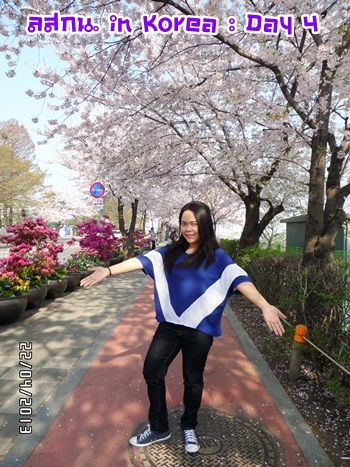 สมหลิน in Korea Day 3 bye bye เกาหลีช้อปยันขึ้นเครื่อง