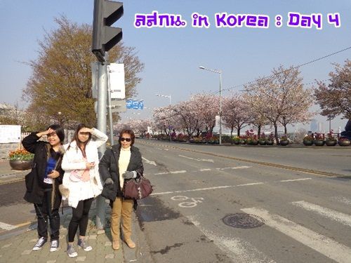 สมหลิน in Korea Day 3 bye bye เกาหลีช้อปยันขึ้นเครื่อง