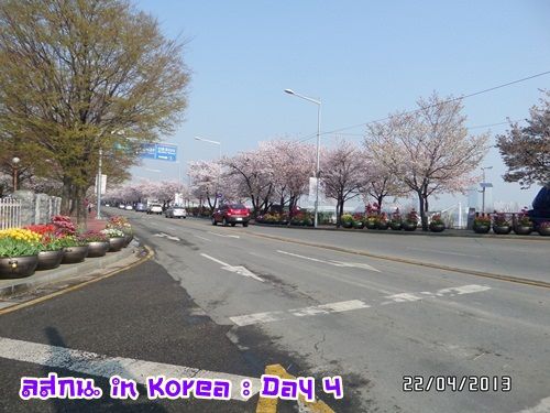 สมหลิน in Korea Day 3 bye bye เกาหลีช้อปยันขึ้นเครื่อง