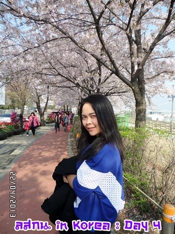 สมหลิน in Korea Day 3 bye bye เกาหลีช้อปยันขึ้นเครื่อง