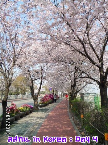 สมหลิน in Korea Day 3 bye bye เกาหลีช้อปยันขึ้นเครื่อง