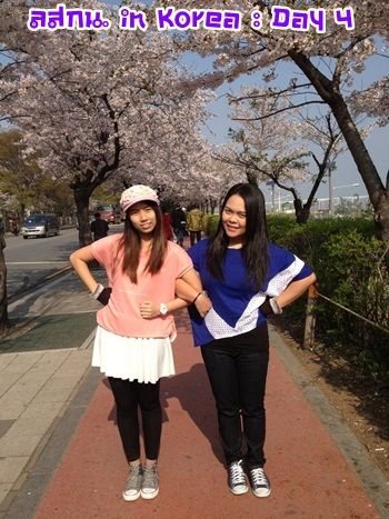 สมหลิน in Korea Day 3 bye bye เกาหลีช้อปยันขึ้นเครื่อง