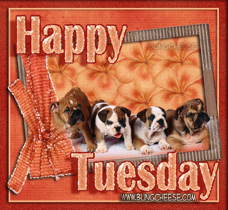  photo 0_tuesday_brown_puppies.gif
